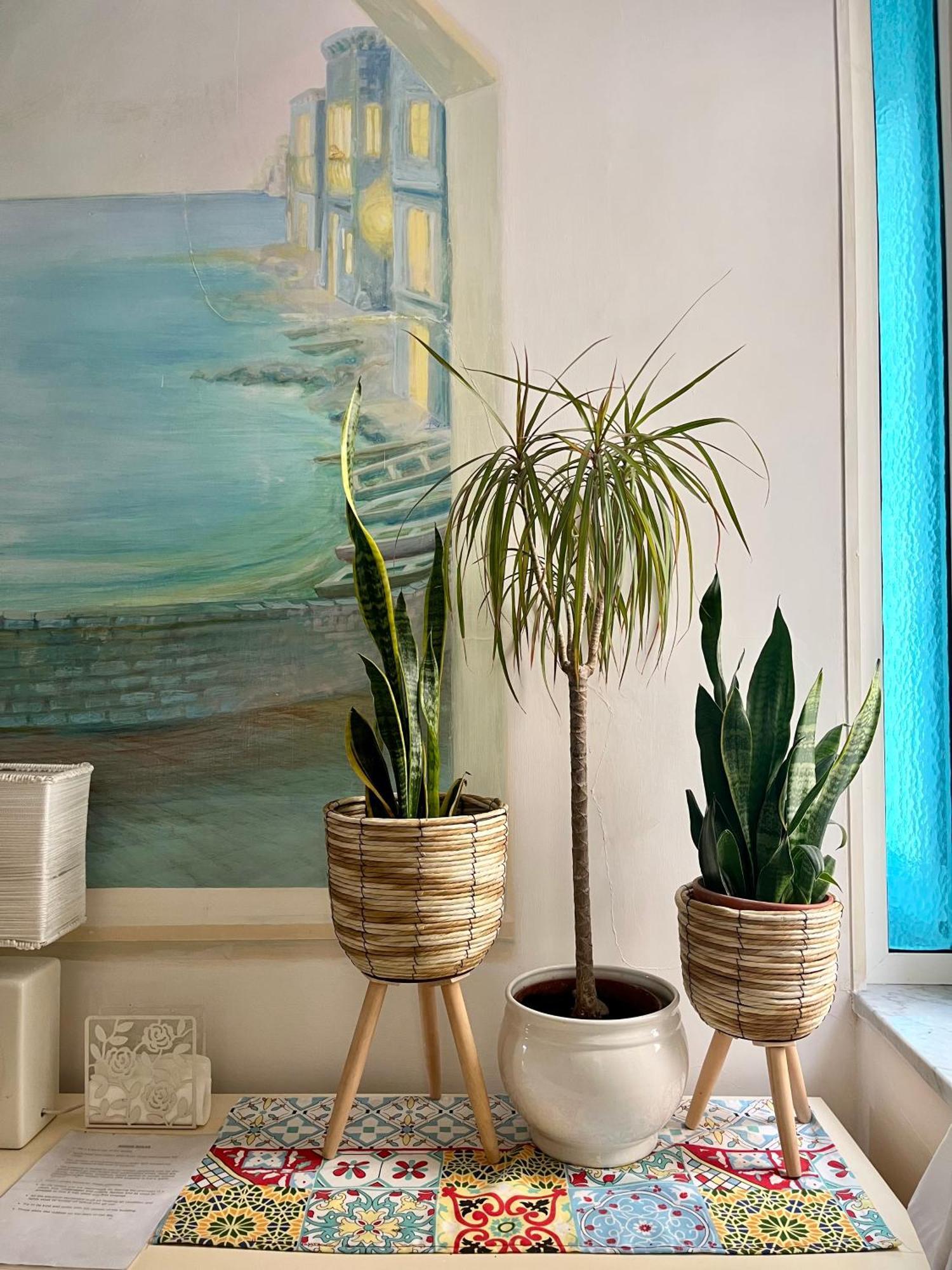 Casa Vacanze Seahorse 살레르노 외부 사진